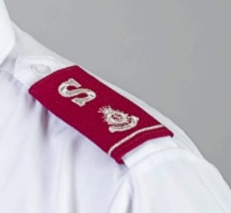 1697811278_epaulette lt col.jpg